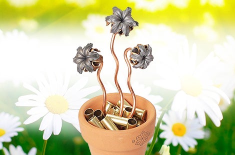 Forget the Flowers … Bring on the Blooms