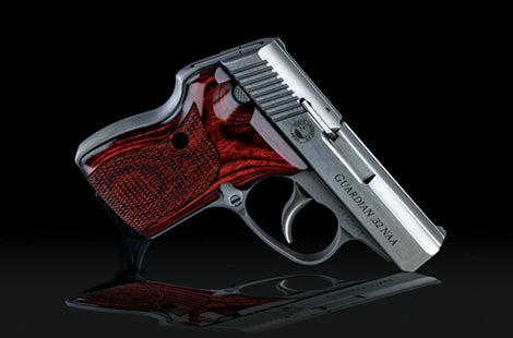 Gun Review: NAA Guardian